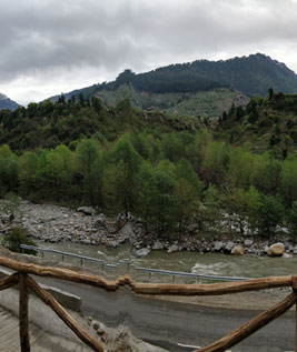 Green Tara Manali